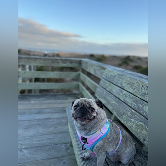 Meet your Posher, Rebecca - Picture 11 of 16